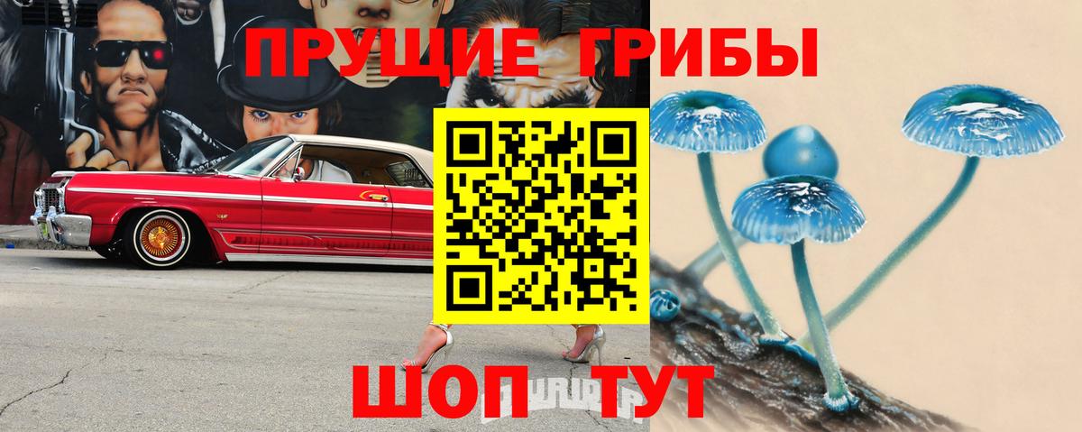 Псилоцибиновые грибы Magic Shrooms  Вход с VPN  Заволжье 
